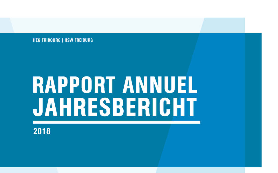 Umschlagseite Rapport annuel /Jahresbericht 2018